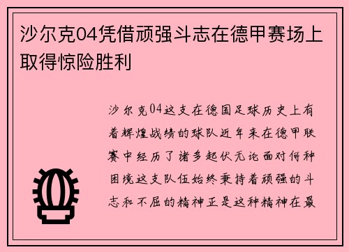 沙尔克04凭借顽强斗志在德甲赛场上取得惊险胜利