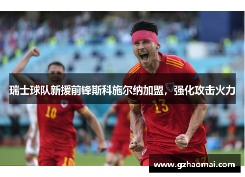 瑞士球队新援前锋斯科施尔纳加盟，强化攻击火力
