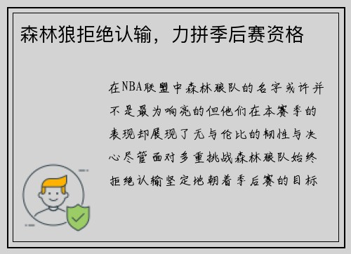 森林狼拒绝认输，力拼季后赛资格